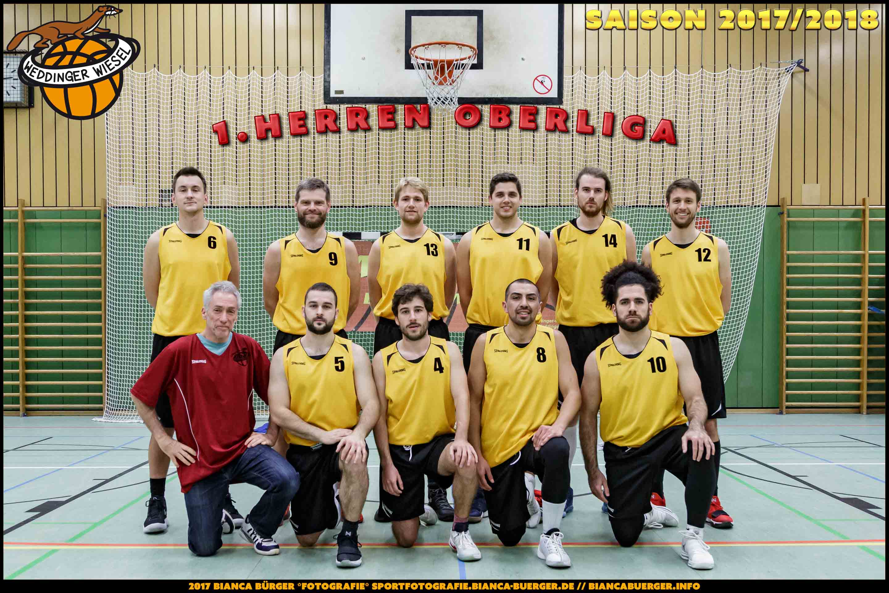 Team Herren-1 der Weddinger Wiesel - Saison 2017/2018