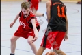 mU14 LLB - Weddinger Wiesel 1 vs BBC 90 Köpenick 1 (Basketball) mU14 LLB - Weddinger Wiesel 1 vs BBC 90 Köpenick 1 (Basketball)