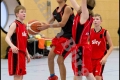 mU14 LLB - Weddinger Wiesel 1 vs BBC 90 Köpenick 1 (Basketball)