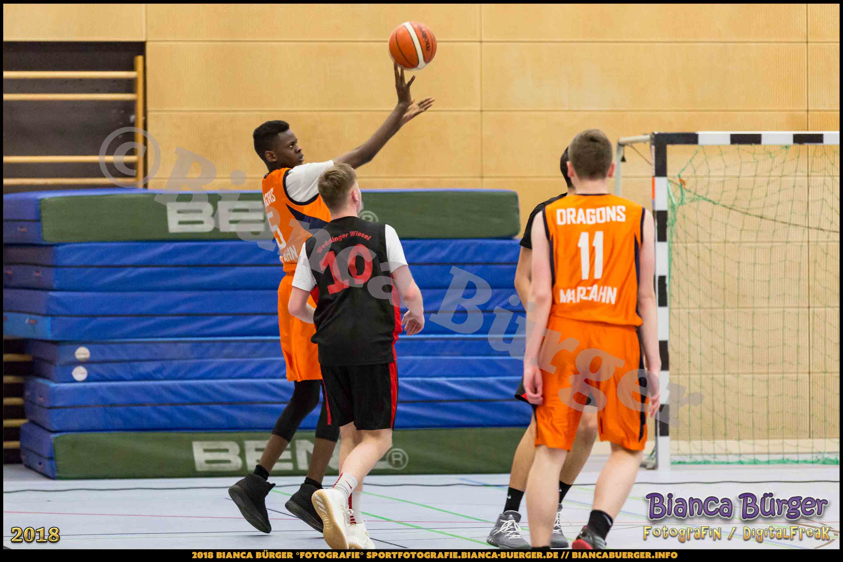 mU18 LLA - Weddinger Wiesel 1 vs Basket Dragons Marzahn 1 (Basketball)