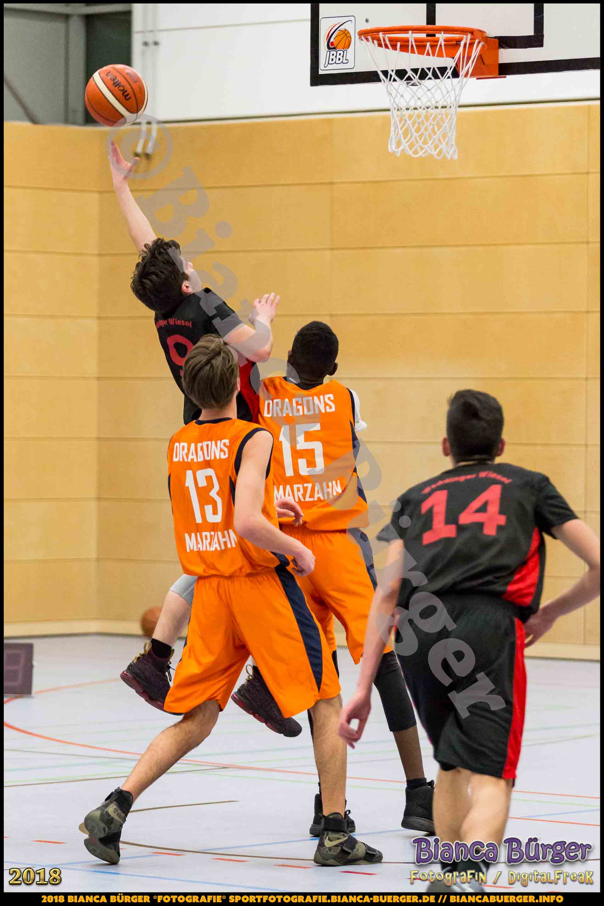 mU18 LLA - Weddinger Wiesel 1 vs Basket Dragons Marzahn 1 (Basketball)