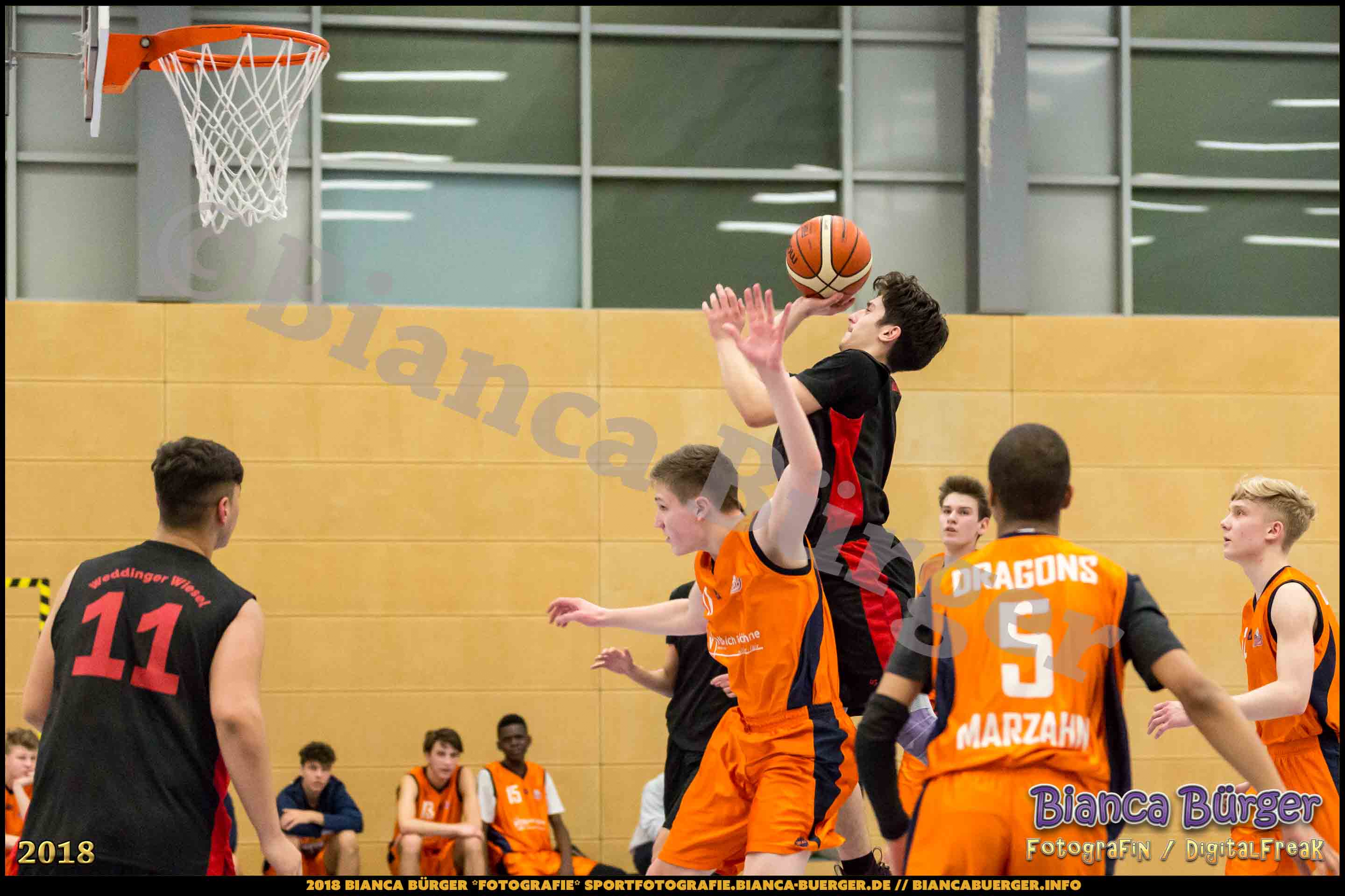 mU18 LLA - Weddinger Wiesel 1 vs Basket Dragons Marzahn 1 (Basketball)