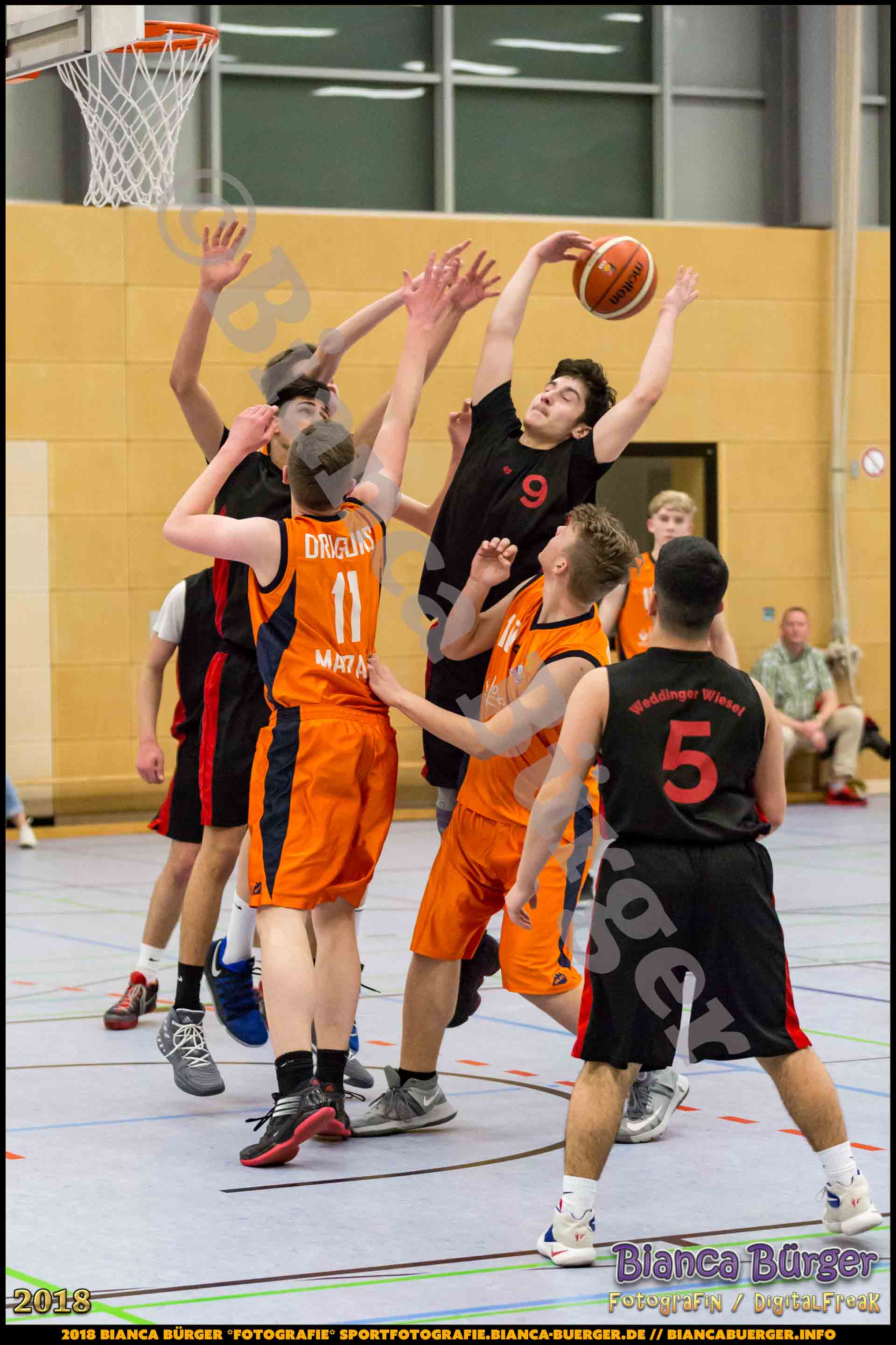 mU18 LLA - Weddinger Wiesel 1 vs Basket Dragons Marzahn 1 (Basketball)