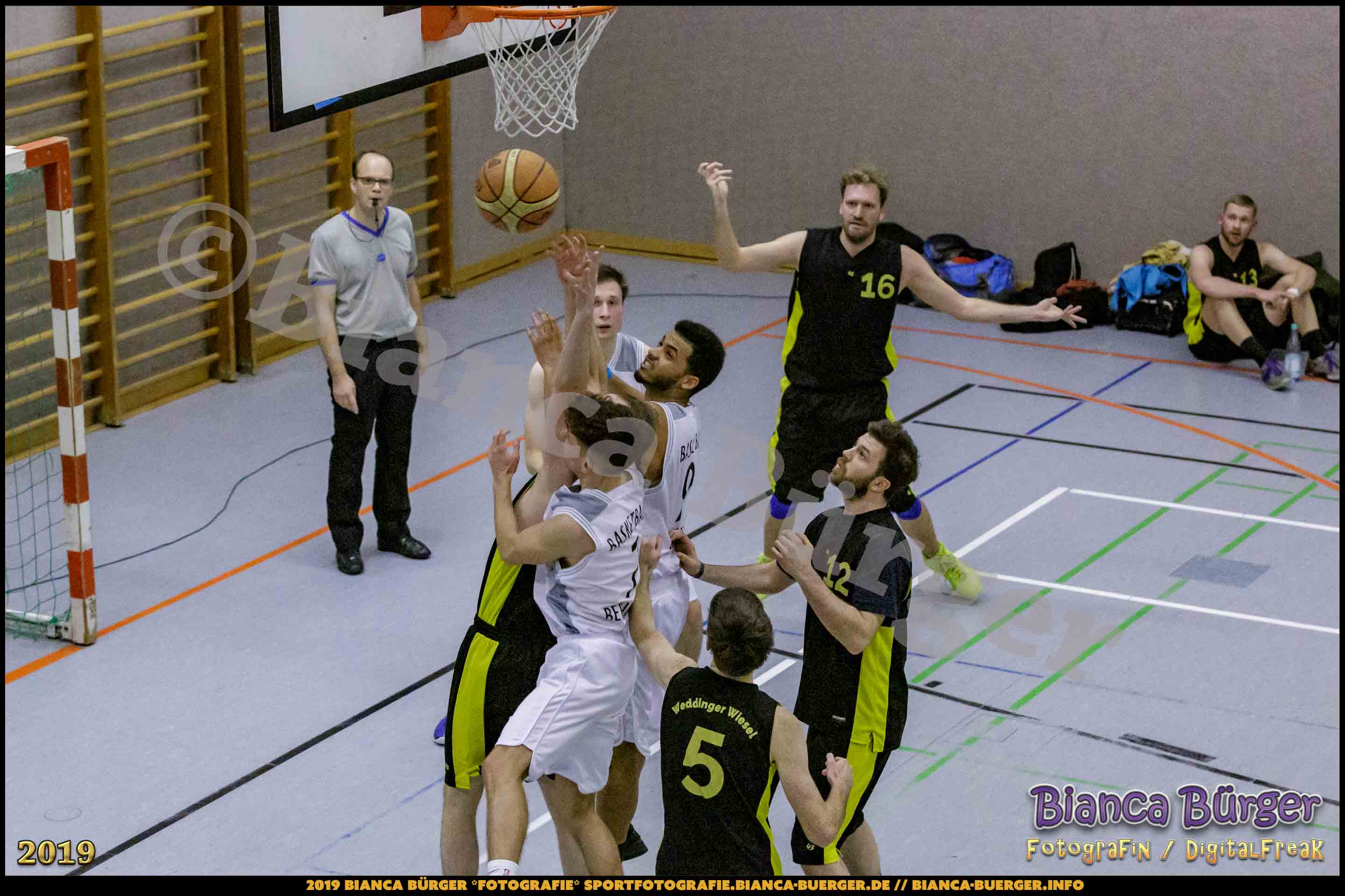 He BZB - Basketball Berlin Süd 1 vs Weddinger Wiesel 3 (S18/19, Basketball)