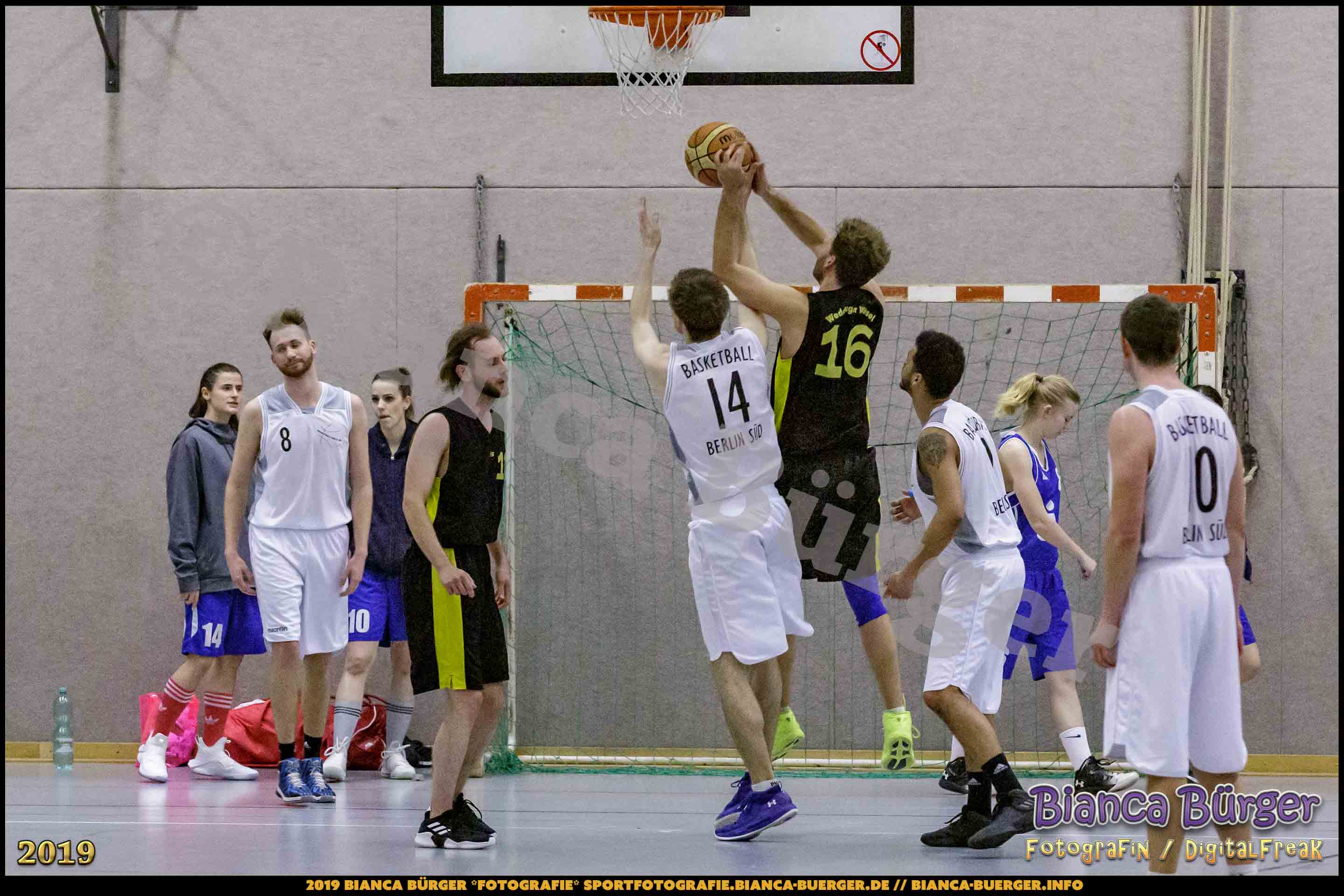 He BZB - Basketball Berlin Süd 1 vs Weddinger Wiesel 3 (S18/19, Basketball)