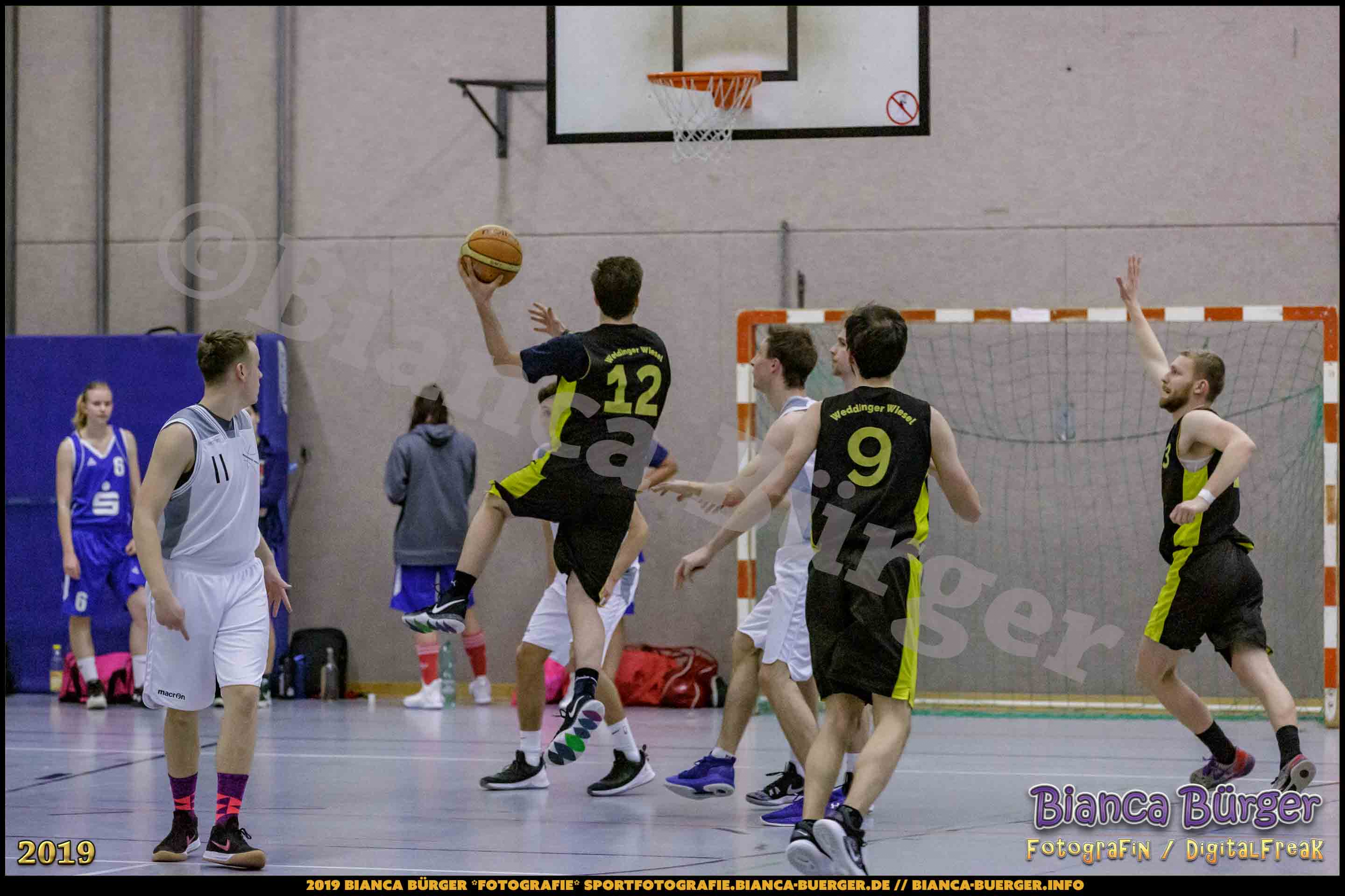 He BZB - Basketball Berlin Süd 1 vs Weddinger Wiesel 3 (S18/19, Basketball)