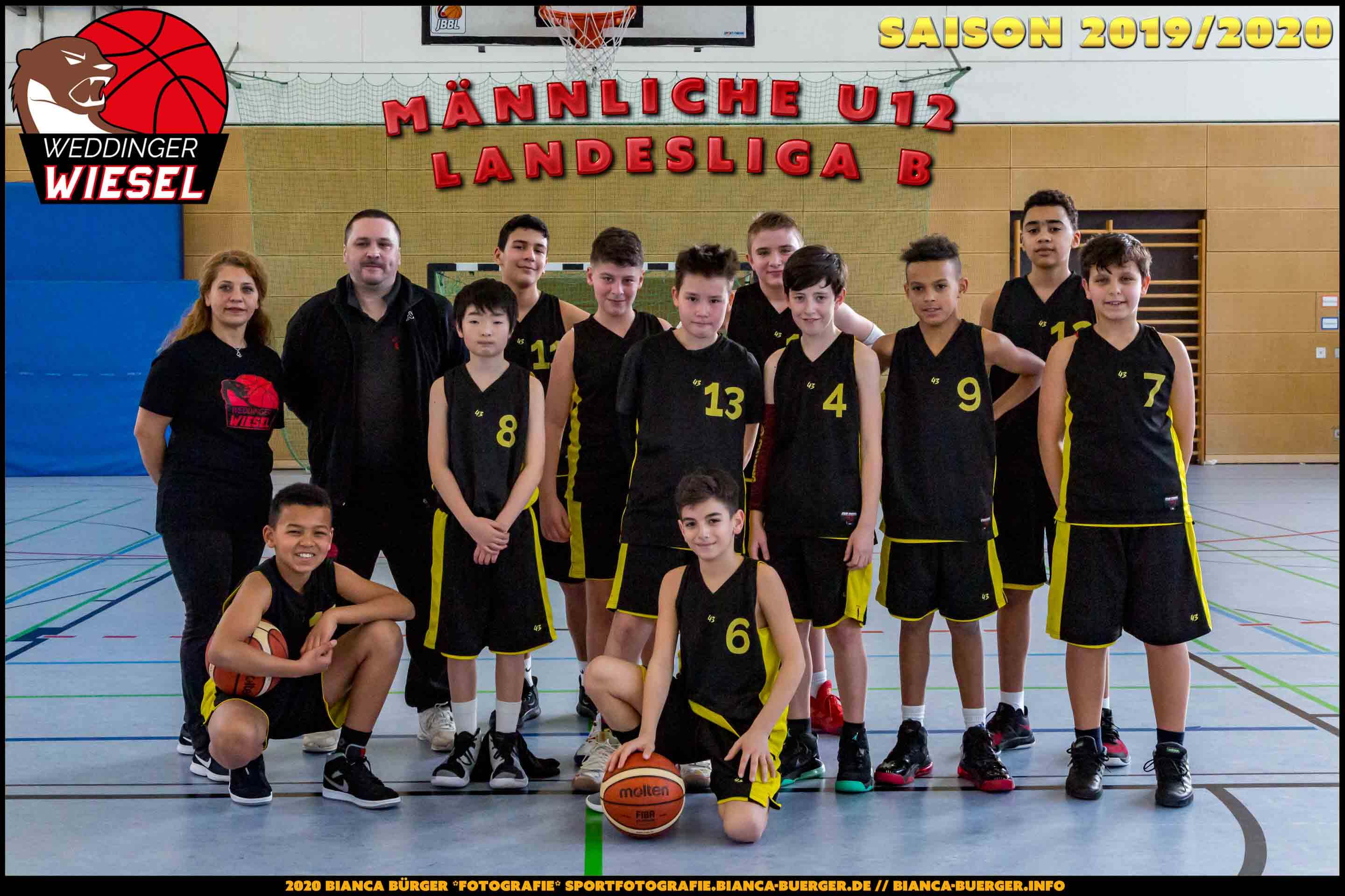 Team männliche U12 Weddinger Wiesel - Saison 2019-2020